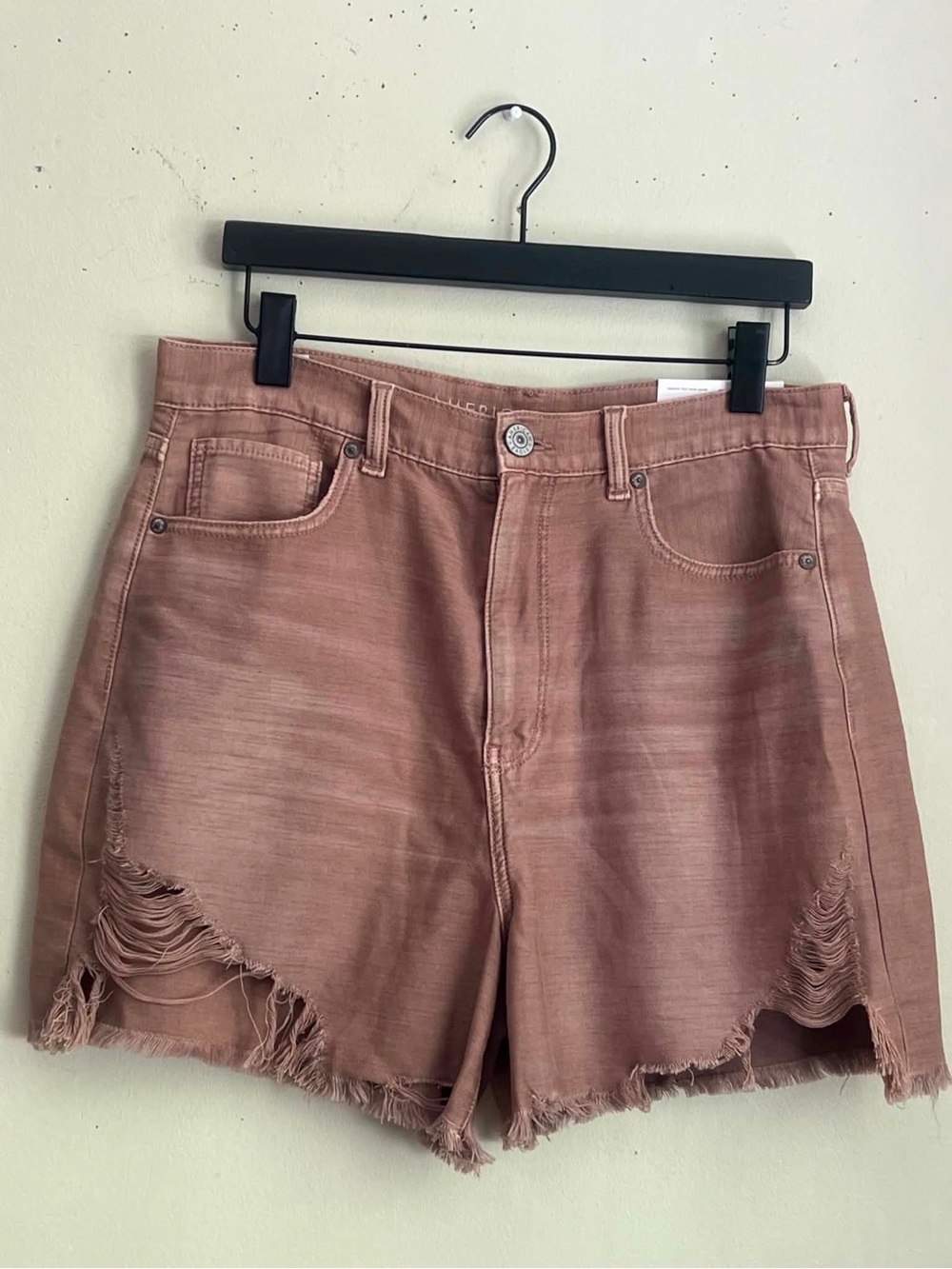 American Eagle Outfitters  Distressed Denim Shorts